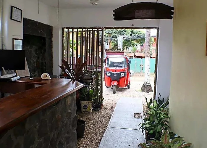 Coconut House 4*