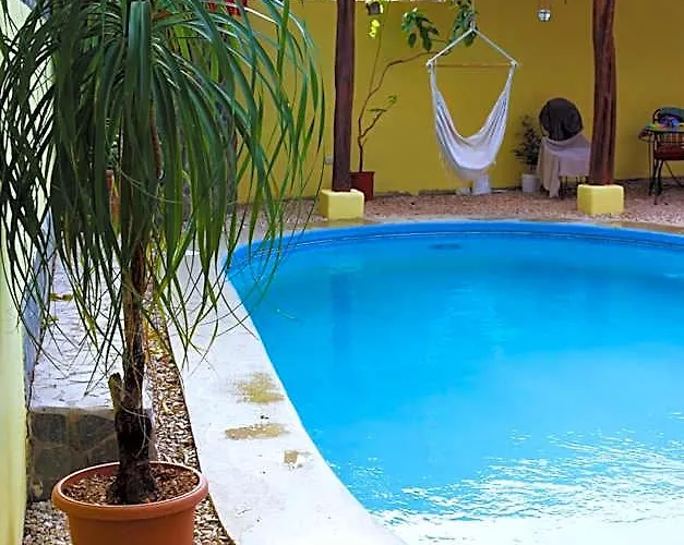 Coconut House