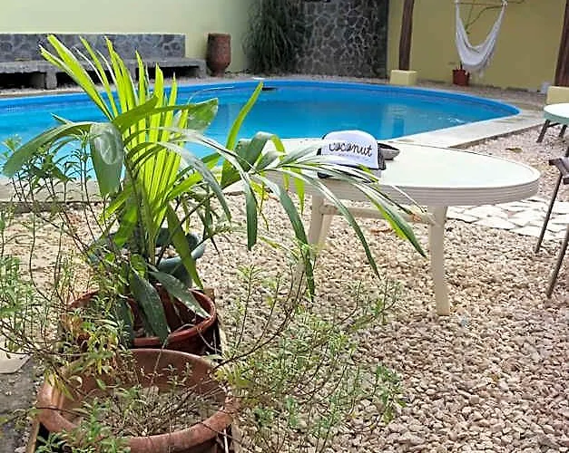 Coconut House 4*