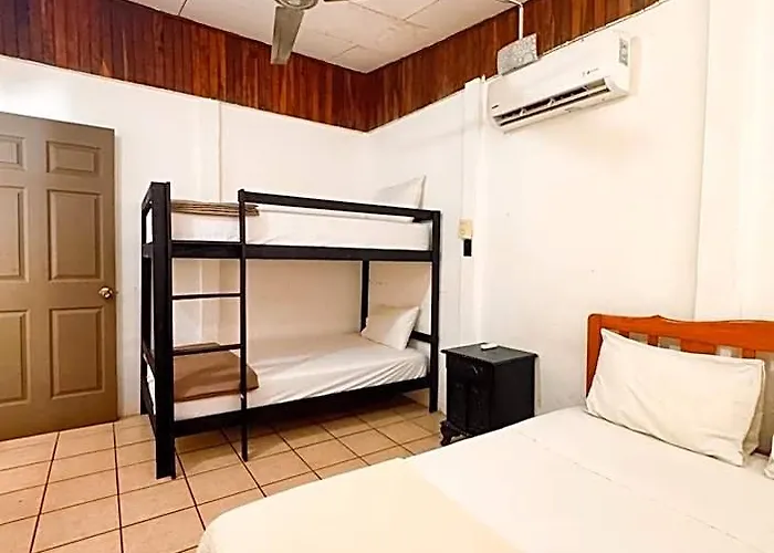 Hotel Coconut House