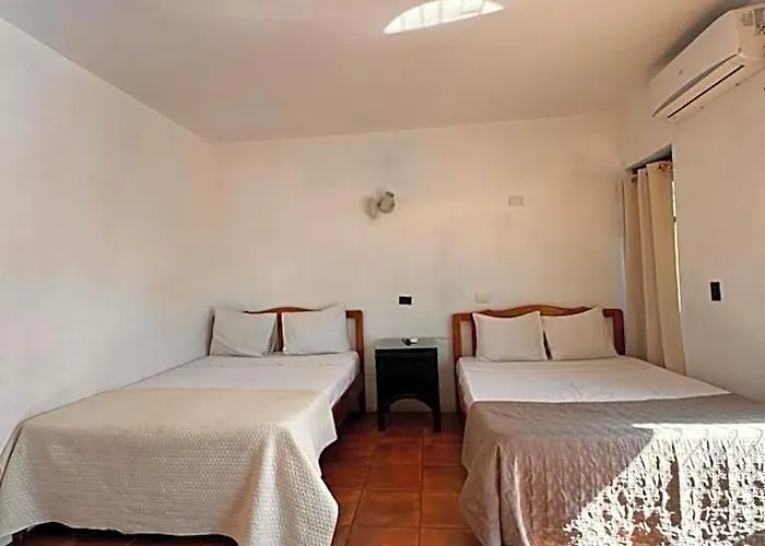 Hotel Coconut House 4*